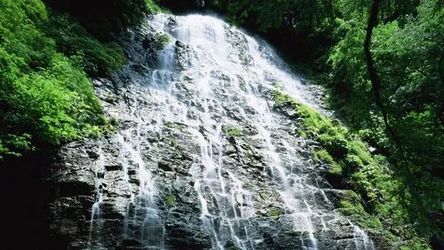 高精度稳定性高效